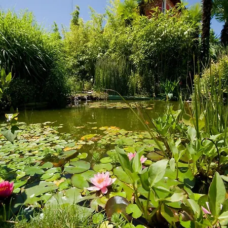 Regina Palace Hotel 4*