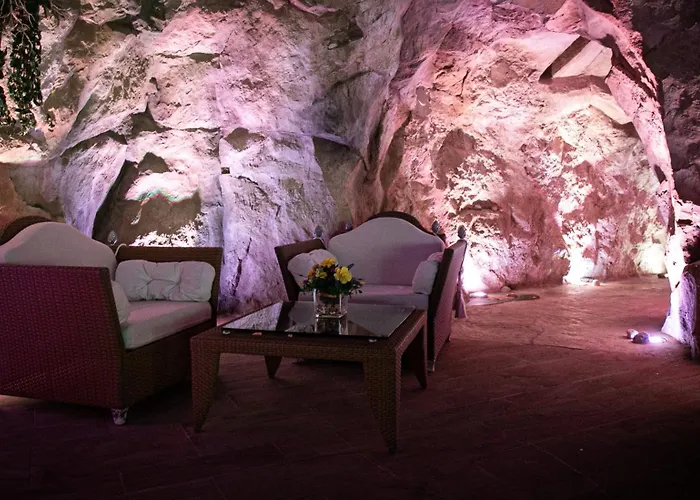 蕾佳娜皇宫酒店 酒店