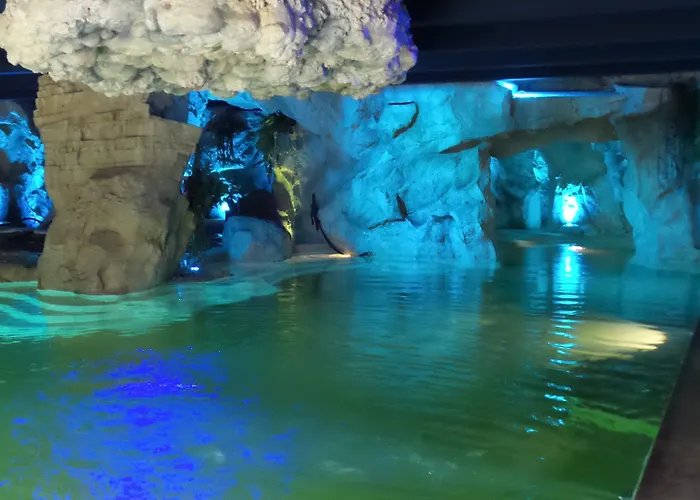 蕾佳娜皇宫酒店