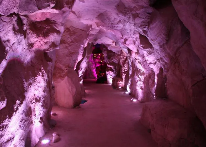 酒店 蕾佳娜皇宫酒店 斯特雷萨