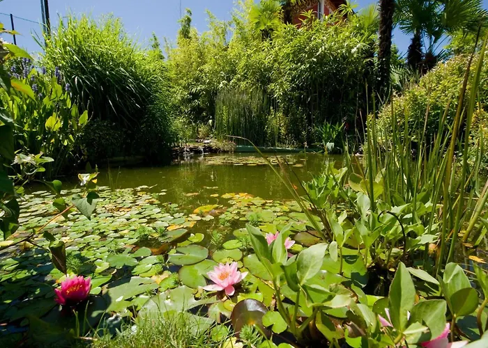 Regina Palace Hotel 4*